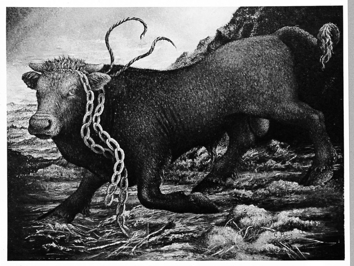 toro (dipinto) di Medica Giovanni (sec. XX)