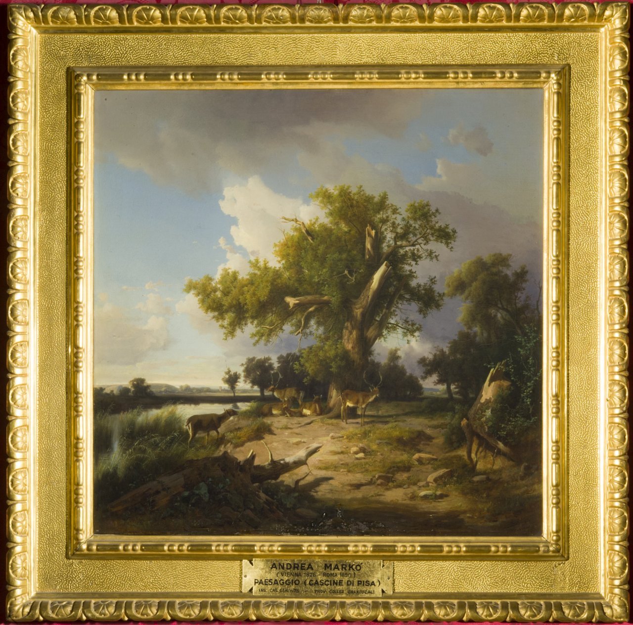 veduta di Cascine di Pisa (dipinto) di MarkÃ² Andrea (sec. XIX)