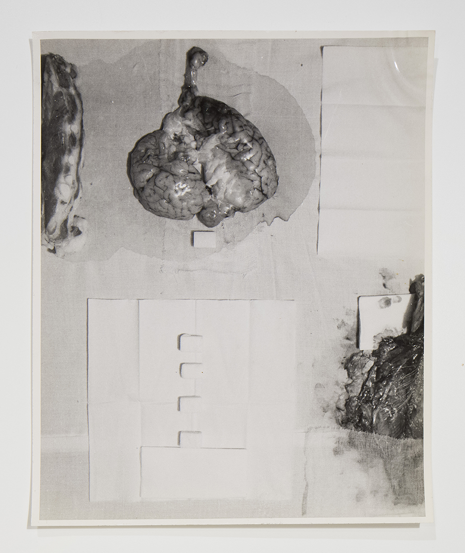 performance 1965 (positivo) di Cibulka, Franziska (seconda metà XX)