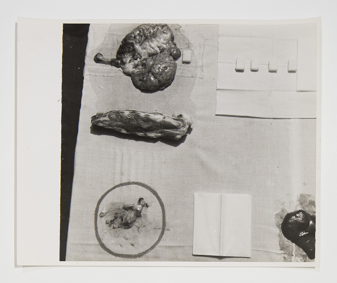 performance 1965 (positivo) di Cibulka, Franziska (seconda metà XX)