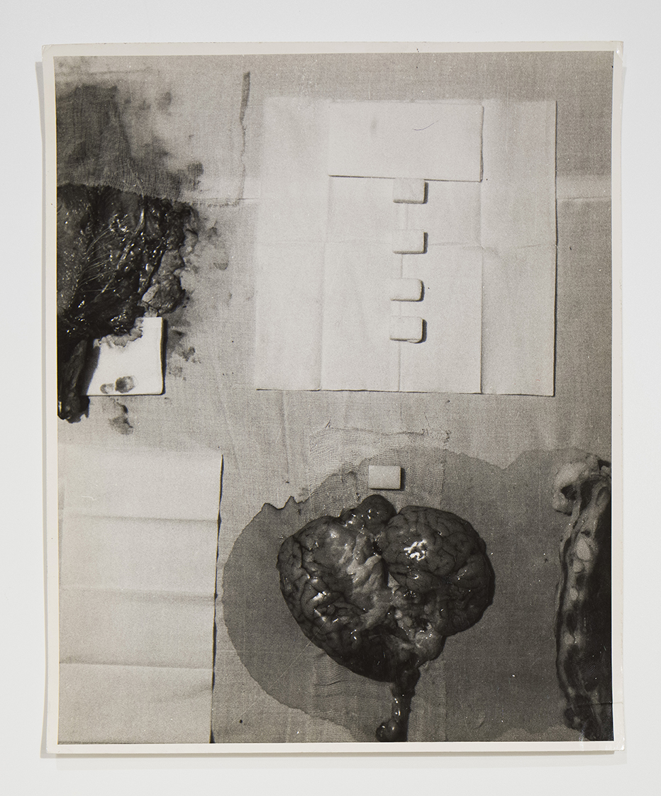 performance 1965 (positivo) di Cibulka, Franziska (seconda metà XX)