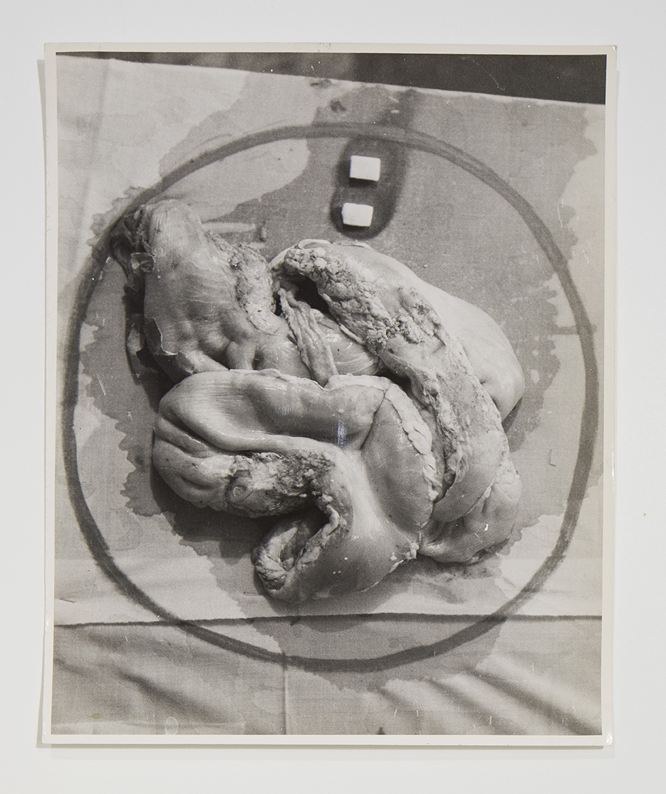 performance 1965 (positivo) di Cibulka, Franziska (seconda metà XX)