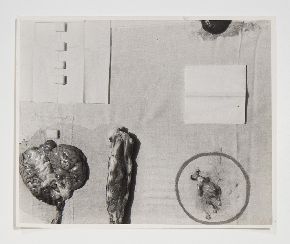 1965 (positivo) di Cibulka, Franziska (seconda metà XX)