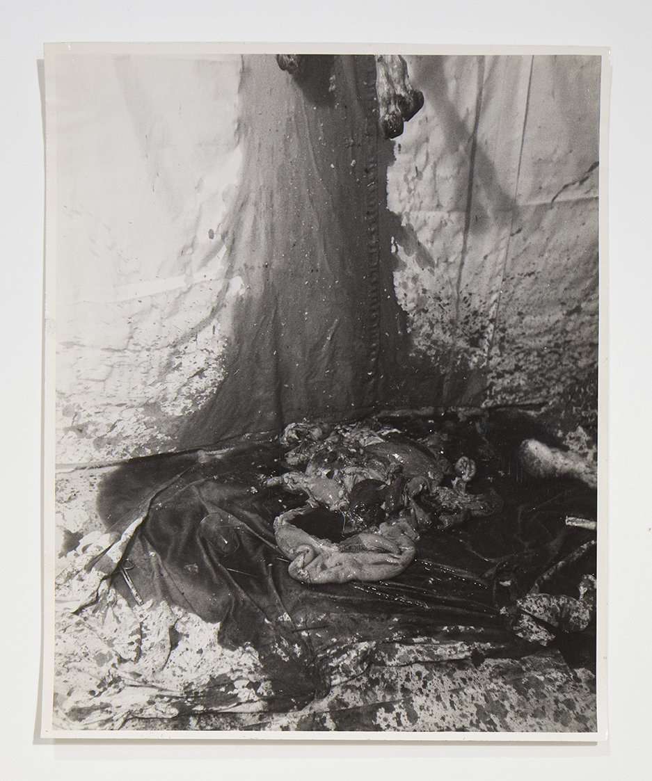 performance 1965 (positivo) di Hoffenreich, Ludwig (seconda metà XX)