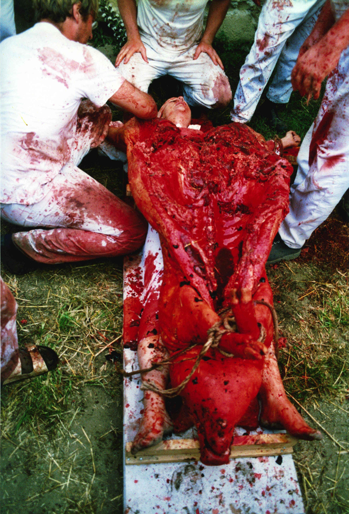 performance 1996 (positivo) di Cibulka, Heinz (seconda metà XX)