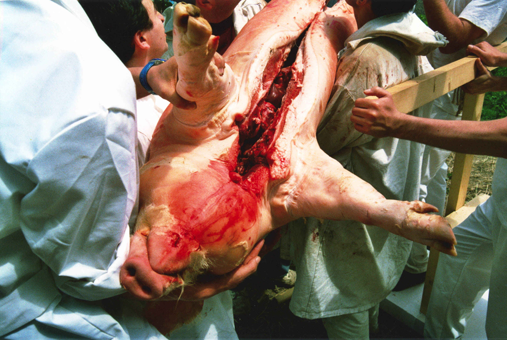 performance 1996 (positivo) di Cibulka, Heinz (seconda metà XX)