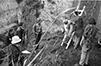 performance 1996 (positivo) di Florio, Clemente (seconda metà XX)