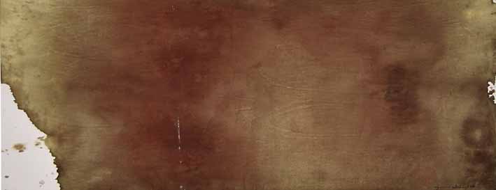 130 Aktion Napoli 2010 (installazione) di Hermann Nitsch (sec. XXI)