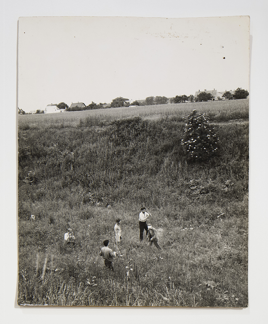 performance (positivo, elemento-parte componente) di Ludwig Hoffenreich (XX)