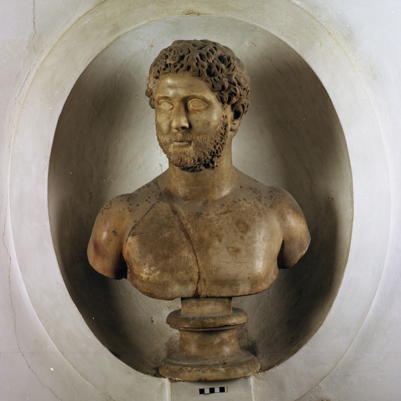 busto virile - età adrianea (sec. II d.C)