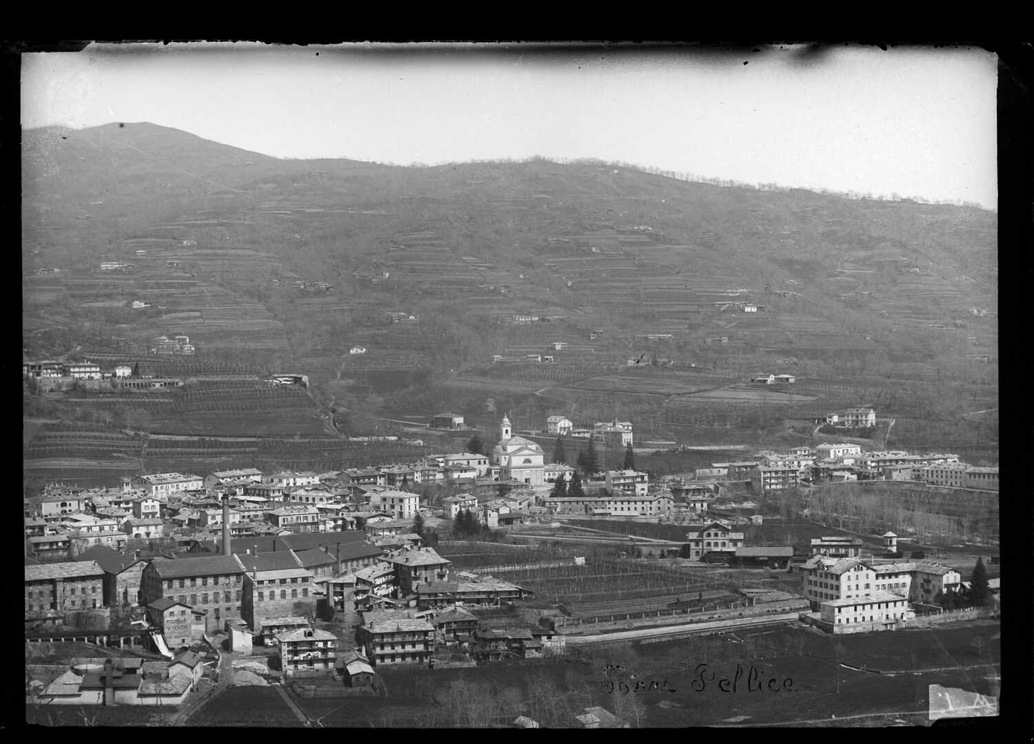 Torre Pellice (Negativo) di Bert, Davide (Ultimo quarto XIX)