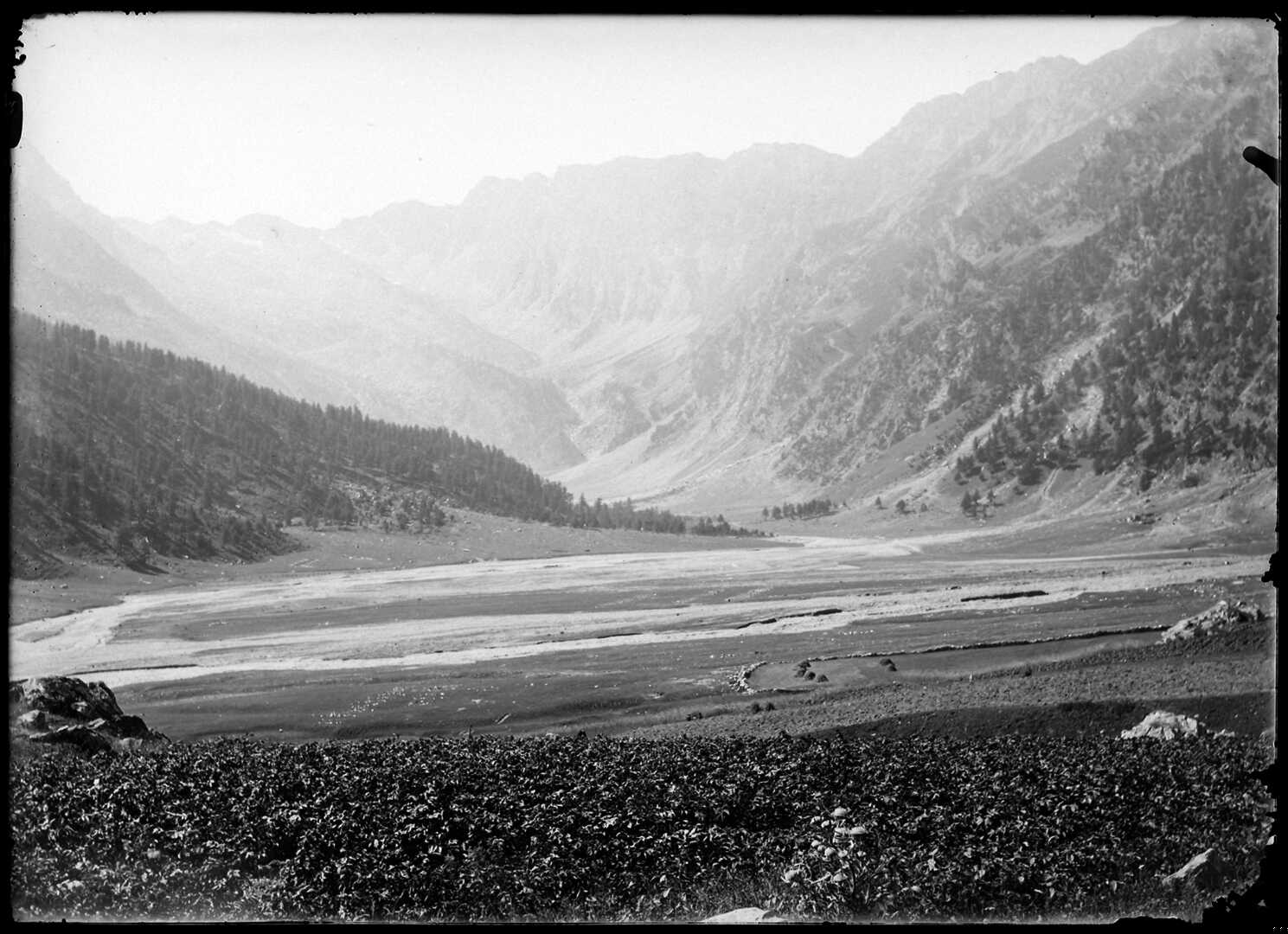 Conca del Prà (Bobbio Pellice) (Negativo) di Bert, Davide (Ultimo quarto XIX)