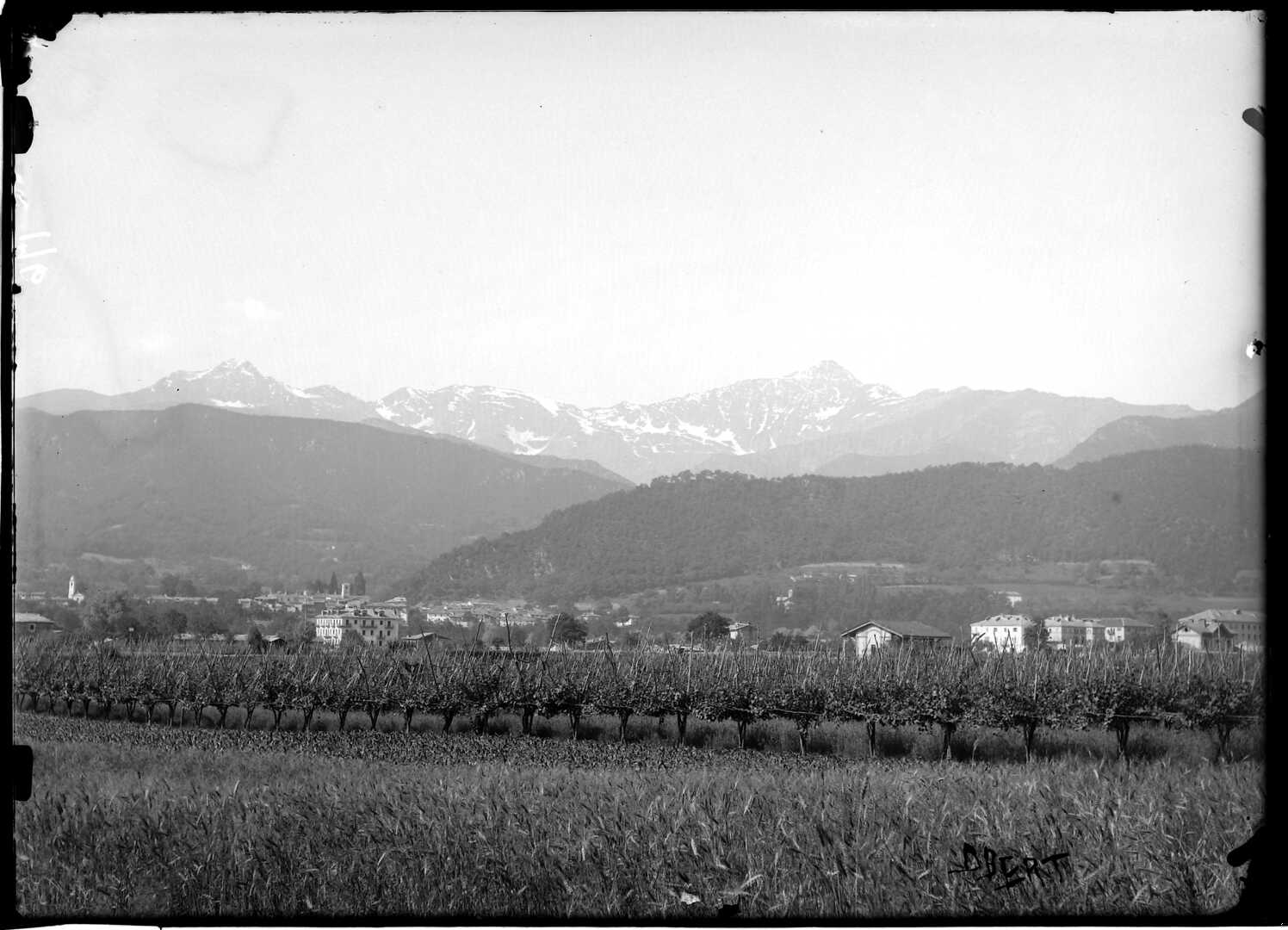 Paesaggio rurale (Negativo) di Bert, Davide (Ultimo quarto XIX)