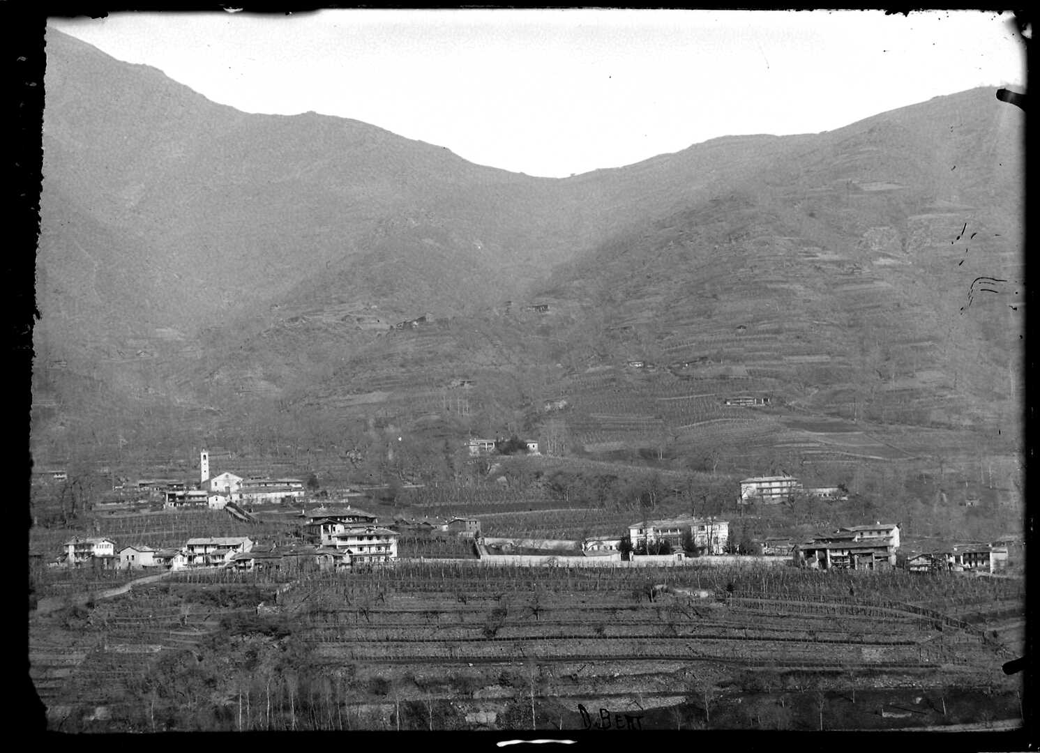 Torre Pellice (Negativo) di Bert, Davide (XIX)