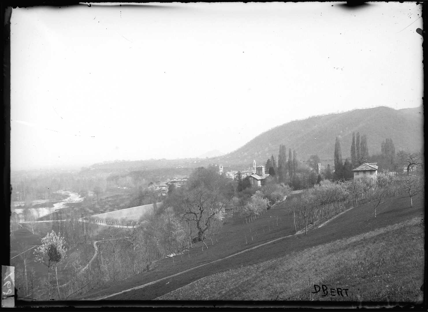 Paesaggio montano (Negativo) di Bert, Davide (XIX)