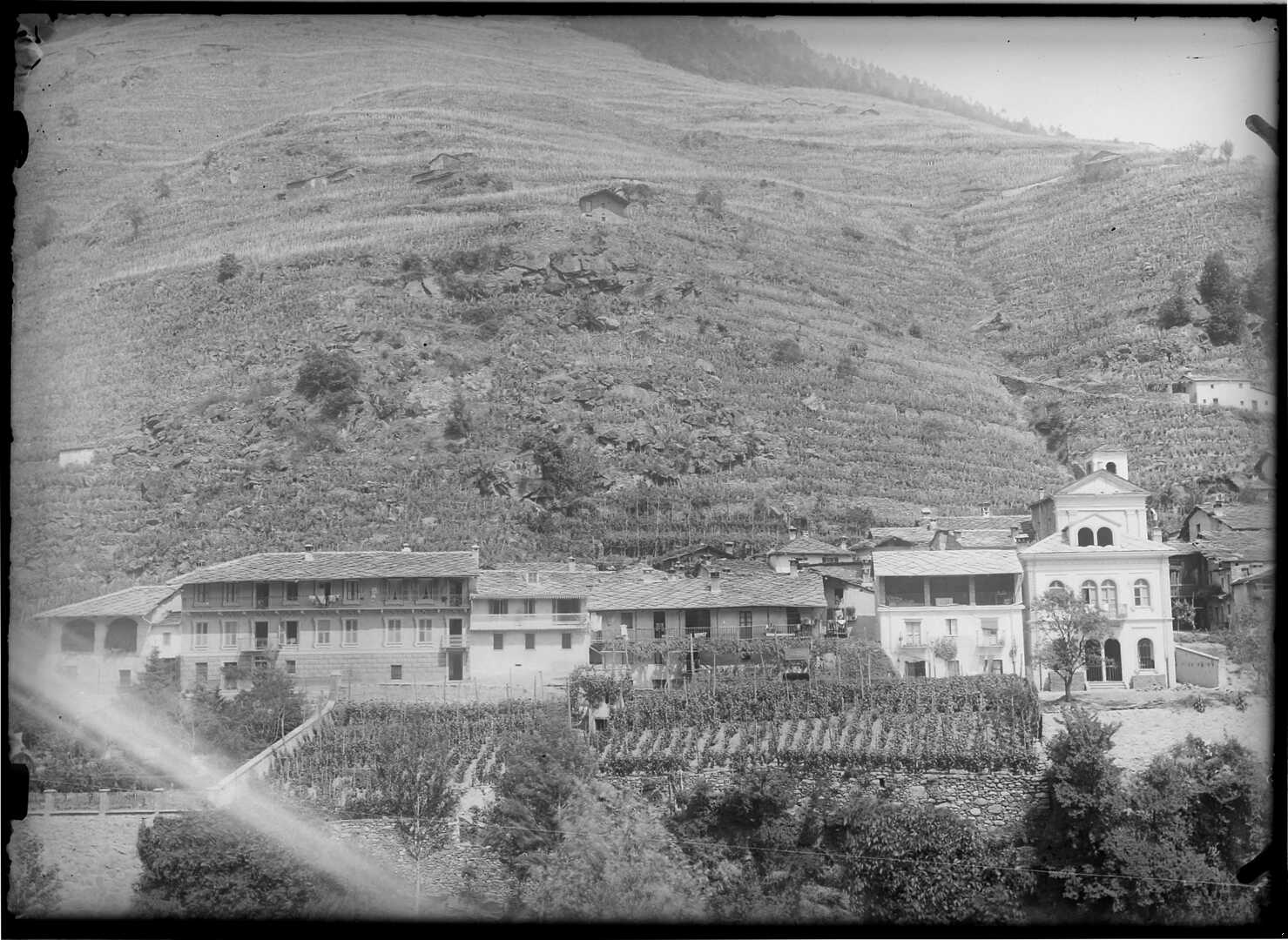 Pomaretto (Negativo) di Bert, Davide (Ultimo quarto XIX)