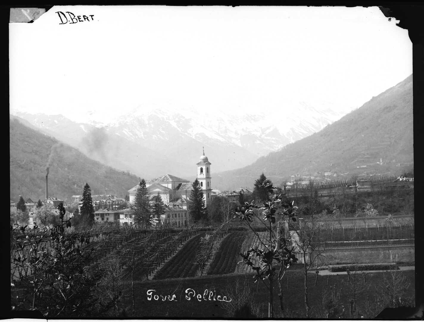 Torre Pellice (Negativo) di Bert, Davide (Ultimo quarto XIX)