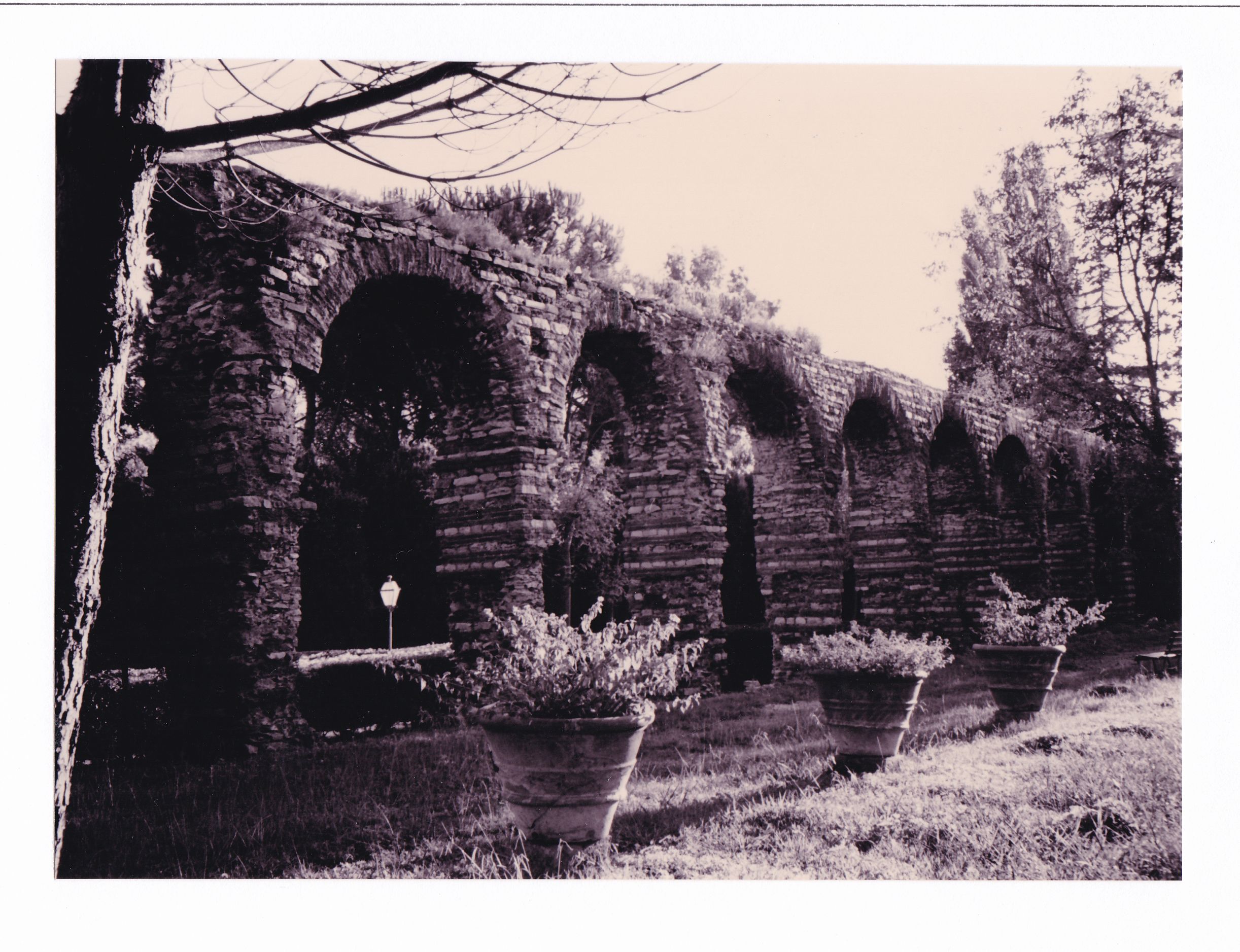 Acquedotto romano di Caldaccoli (acquedotto) - San Giuliano Terme (PI) 