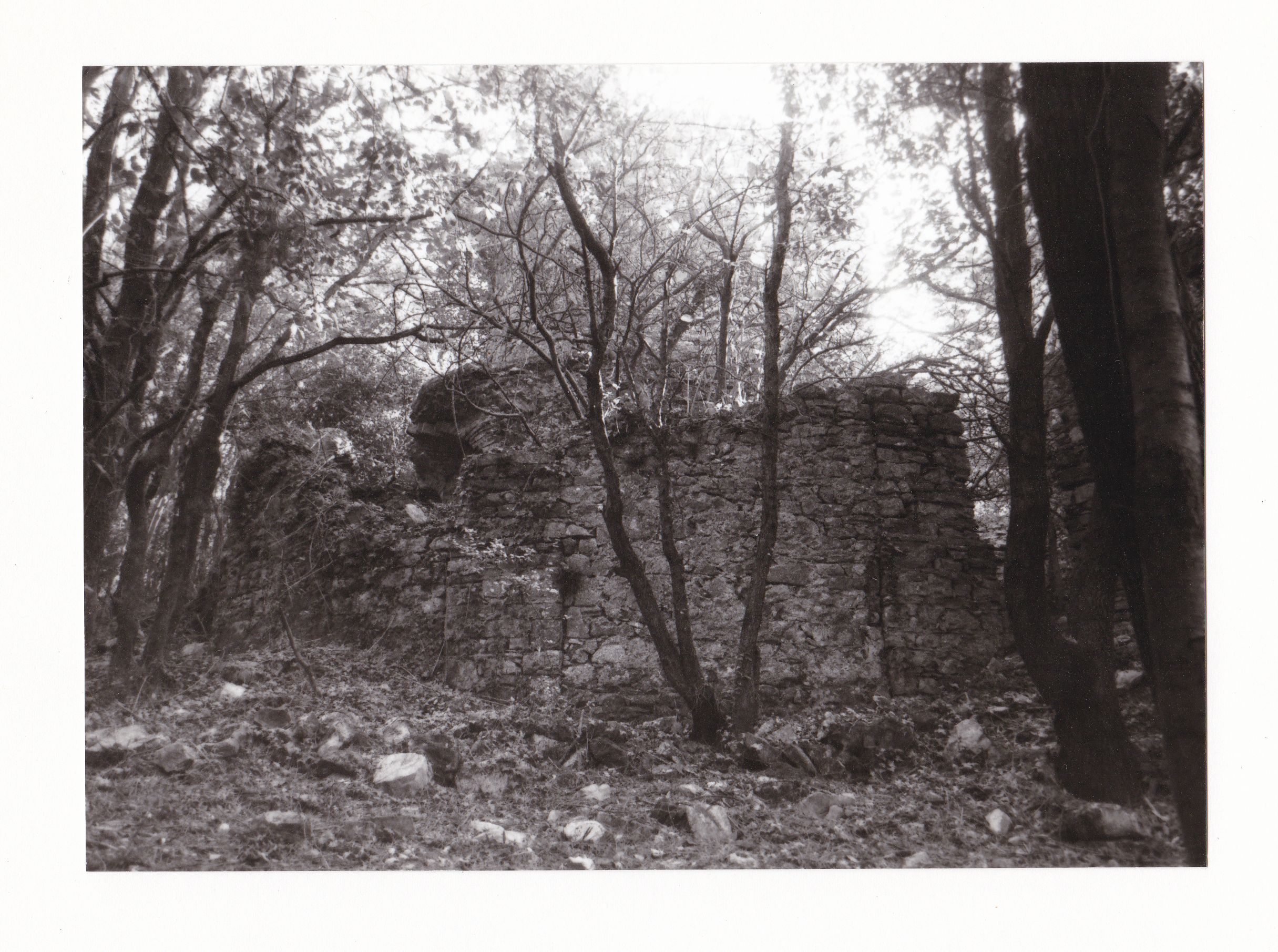 Mulino Tidi II (mulino, a vento, ad una macina) - Collesalvetti (LI) 