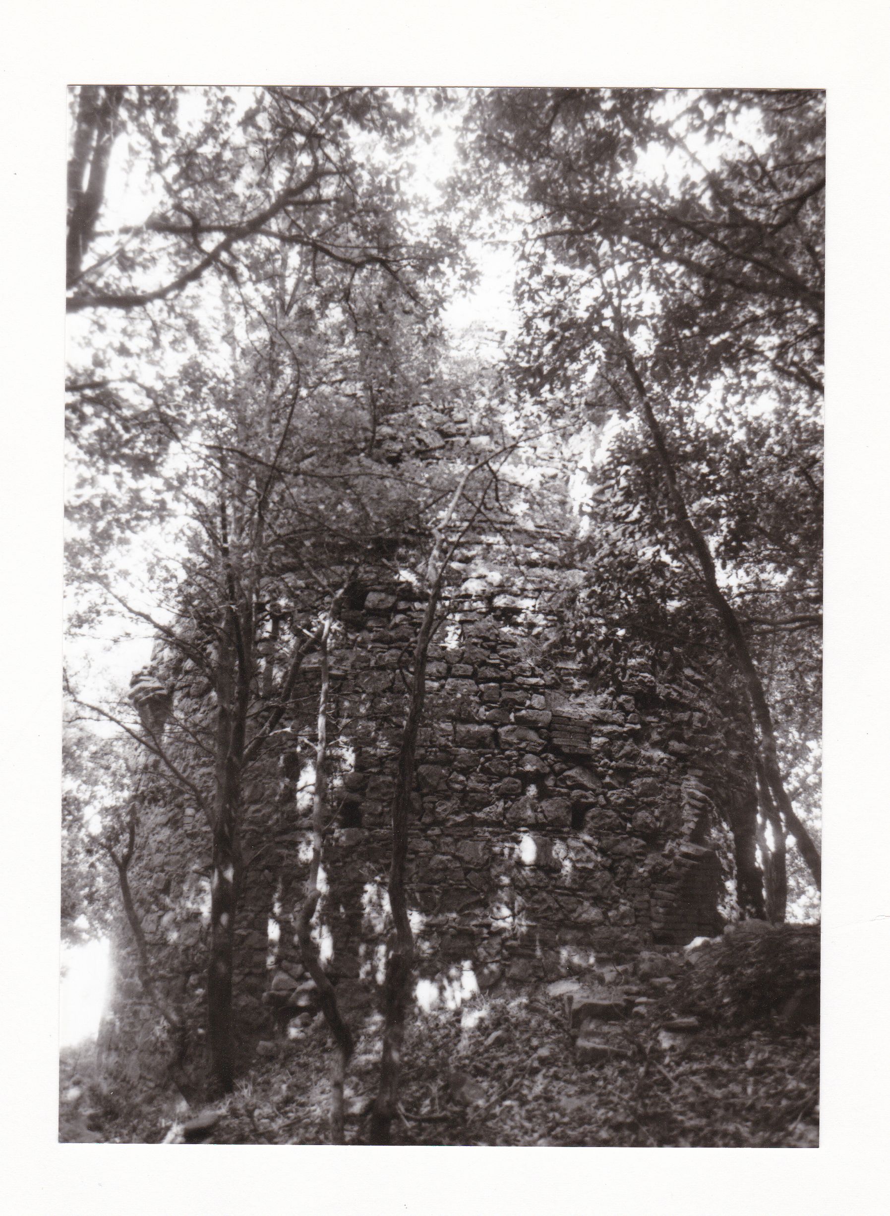 Mulino Tidi I (mulino, a vento, ad una macina) - Collesalvetti (LI) 