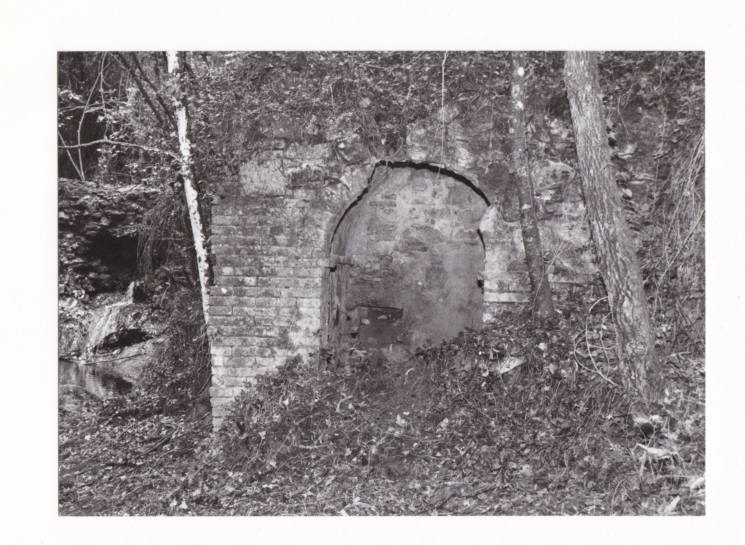 Mulino Tobler (mulino, ad acqua) - Collesalvetti (LI) 