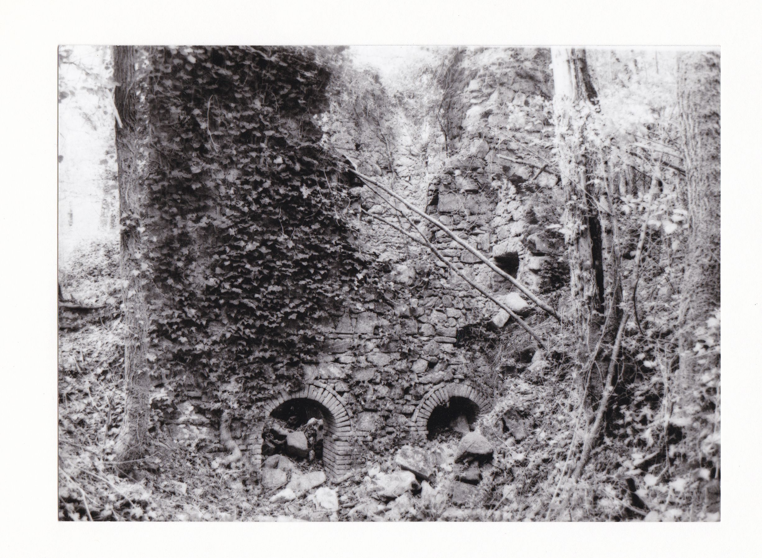 Mulino Nuovo (mulino, a due macine, ad acqua) - Collesalvetti (LI) 