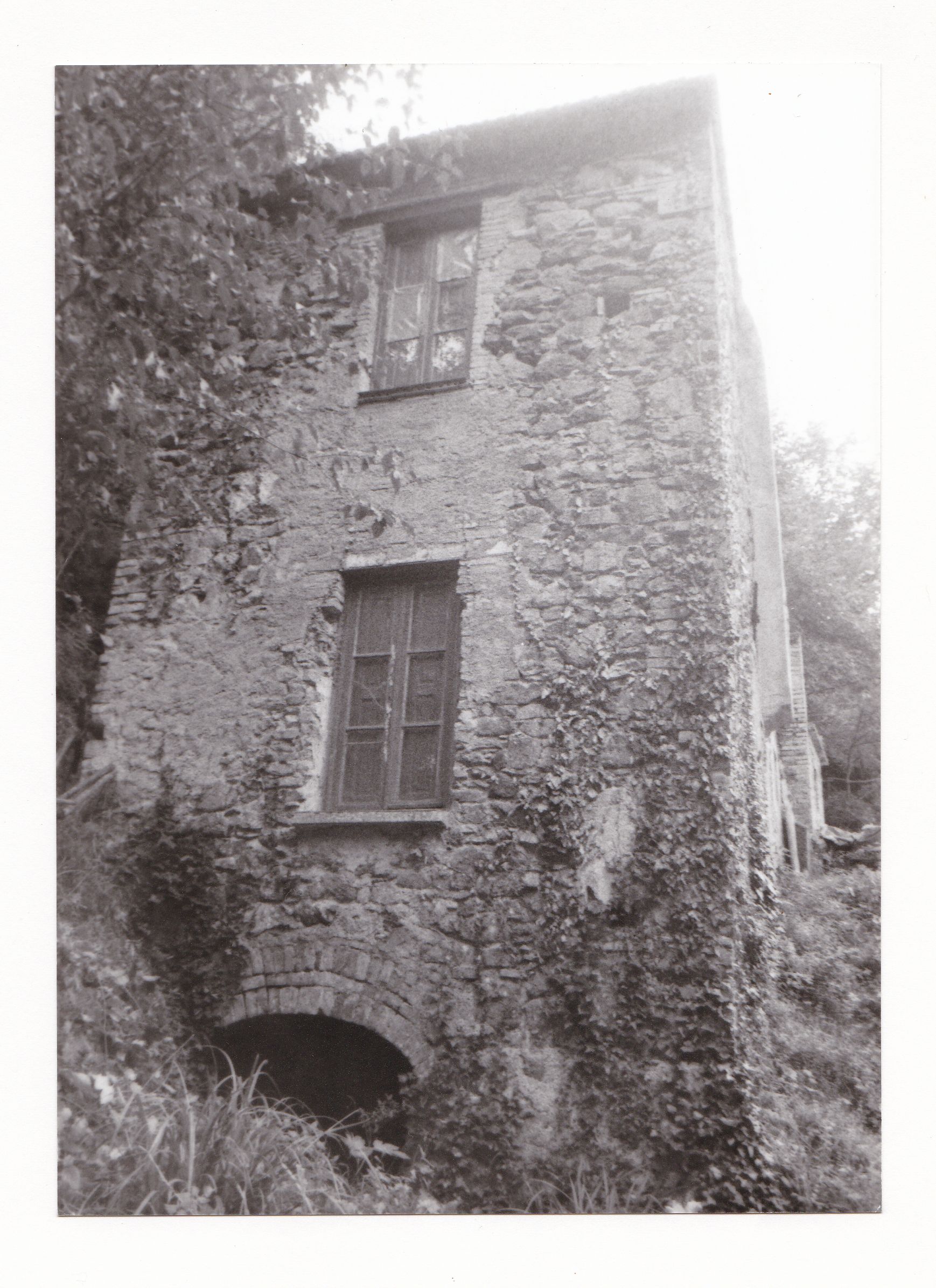 Mulino del Tamagnino (mulino, ad una macina, ad acqua) - Collesalvetti (LI)  (XIX)