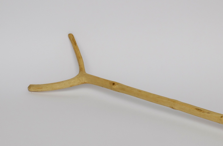 forcina - ambito locale