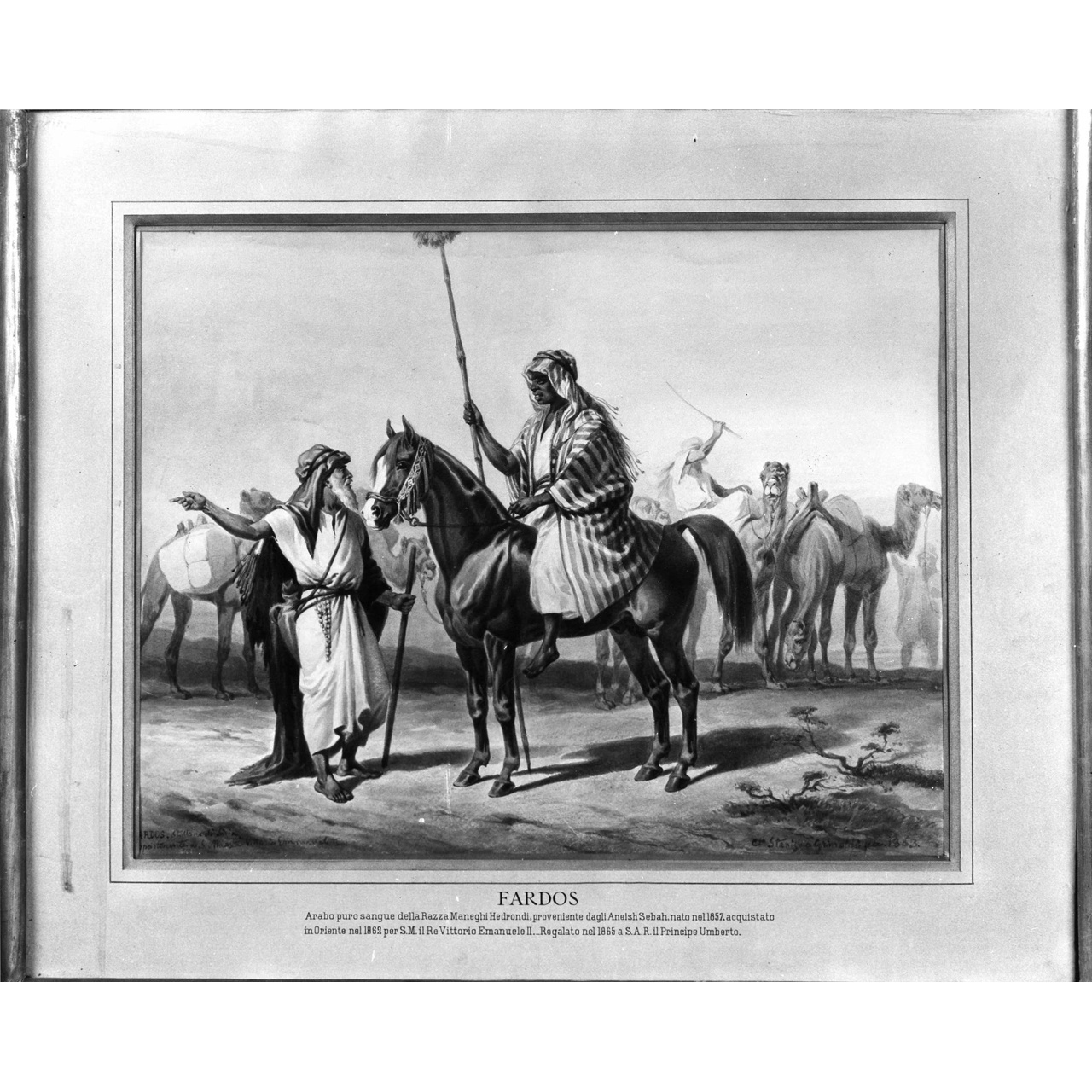ritratto del cavallo Fardos (dipinto) di Grimaldi Stanislao (terzo quarto sec. XIX)