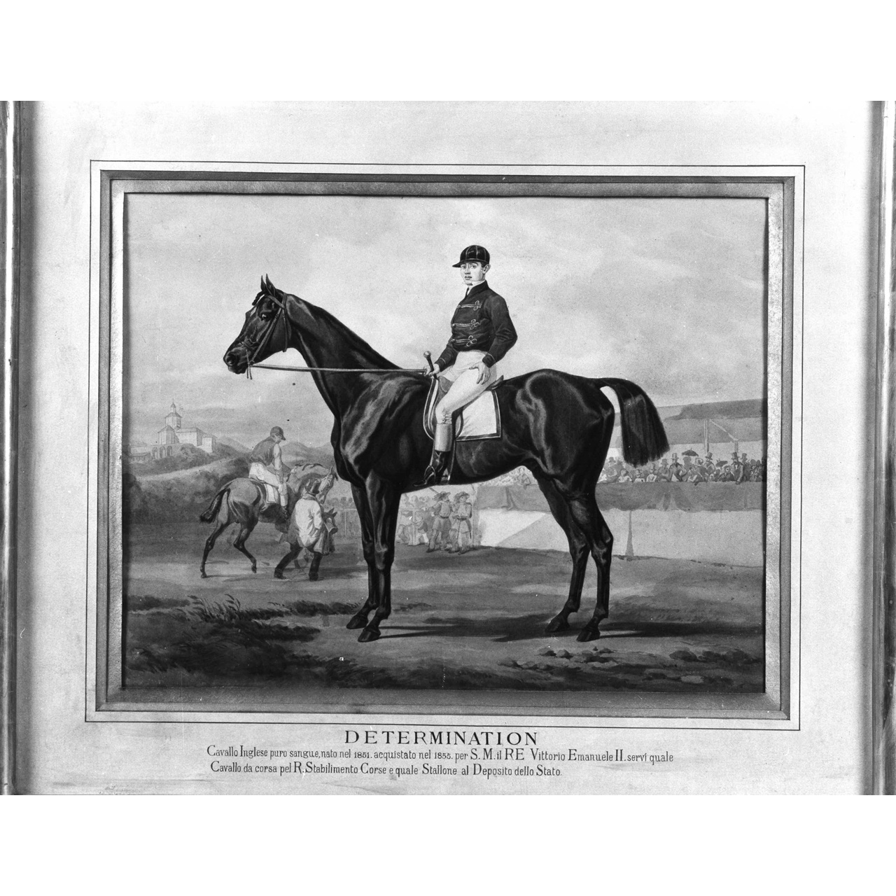 ritratto del cavallo Determination (dipinto) di Grimaldi Stanislao (terzo quarto sec. XIX)
