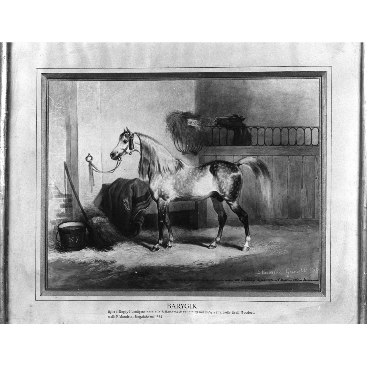 ritratto del cavallo Barygik (dipinto) di Grimaldi Stanislao (terzo quarto sec. XIX)