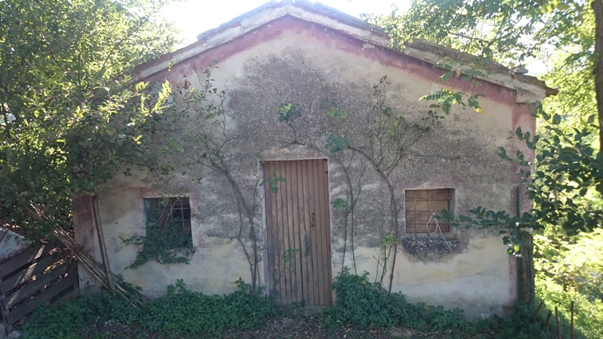 Chiesa di S. Giovanni Battista (chiesa, parrocchiale) - Apiro (MC) 