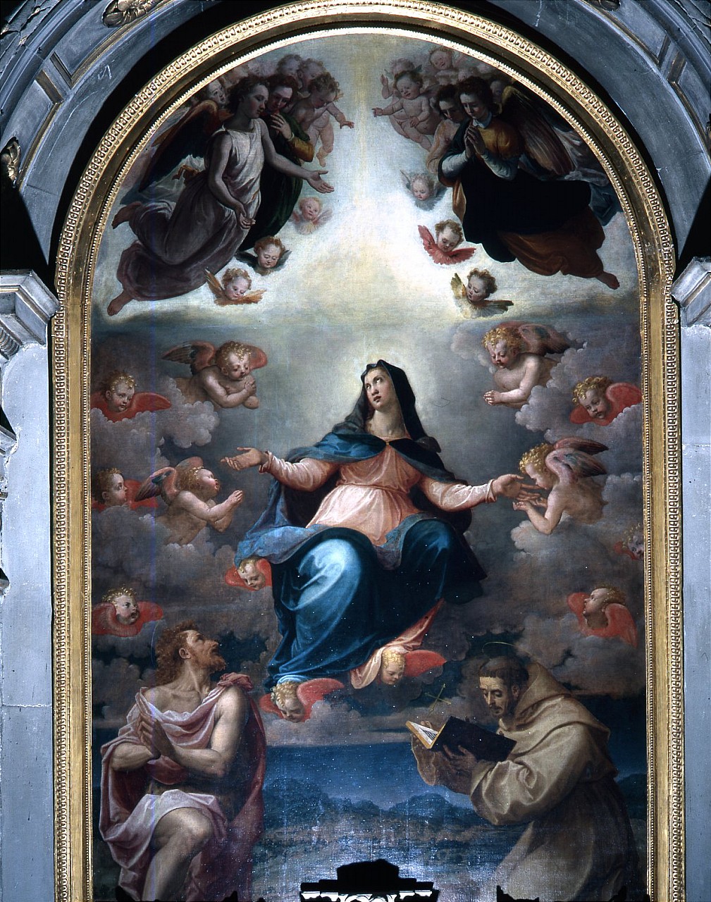 Madonna Assunta tra San Bonaventura e San Giovanni Battista (dipinto) di Santi di Tito, Tosini Michele detto Michele di Ridolfo del Ghirlandaio (sec. XVI)