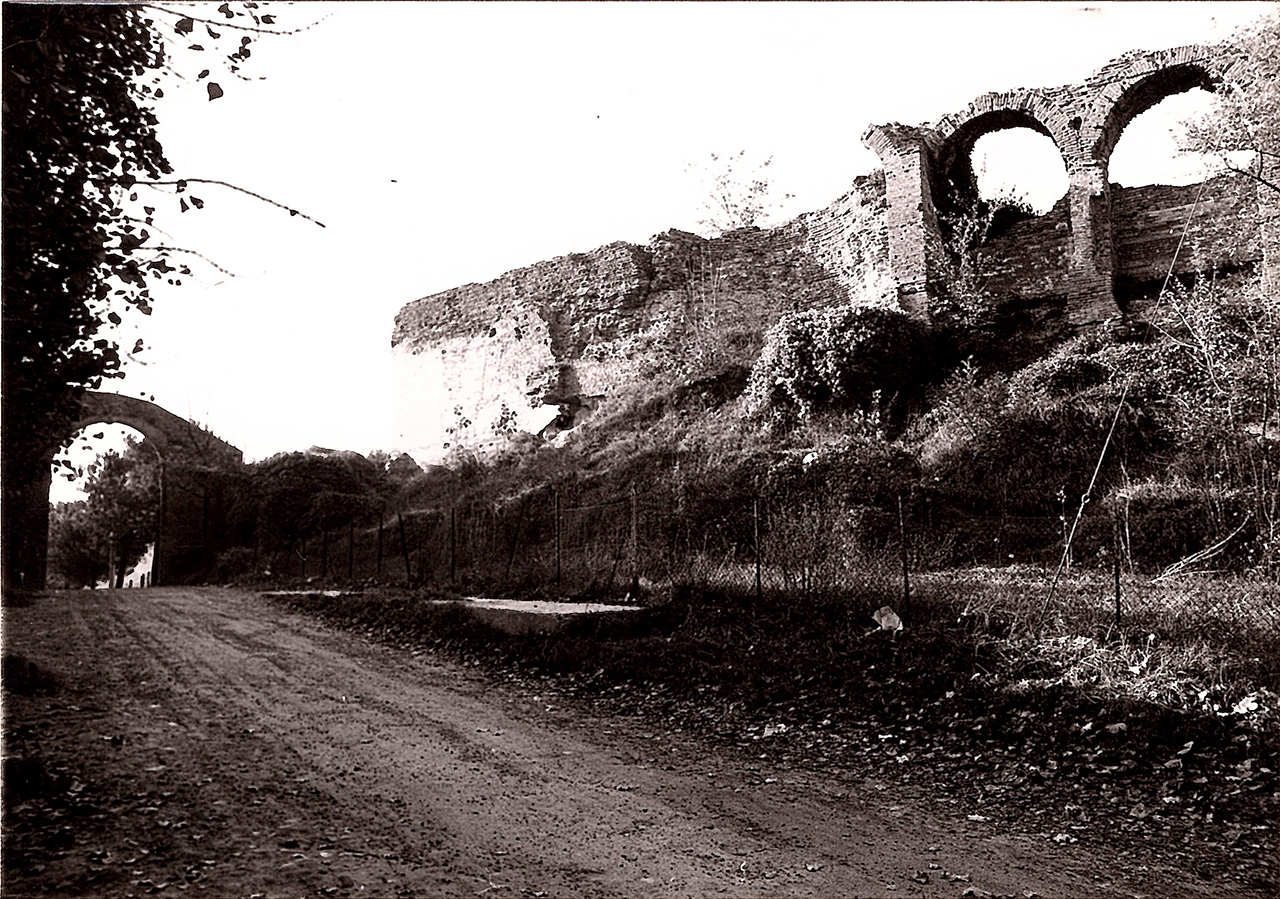 Ruderi della Rocca Vecchia (rocca) - Cesena (FC) 