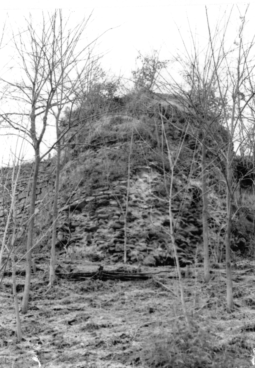 Torre di Linaro (ARCHITETTURA MILITARE E FORTIFICATA, difensiva) - Mercato Saraceno (FC) 