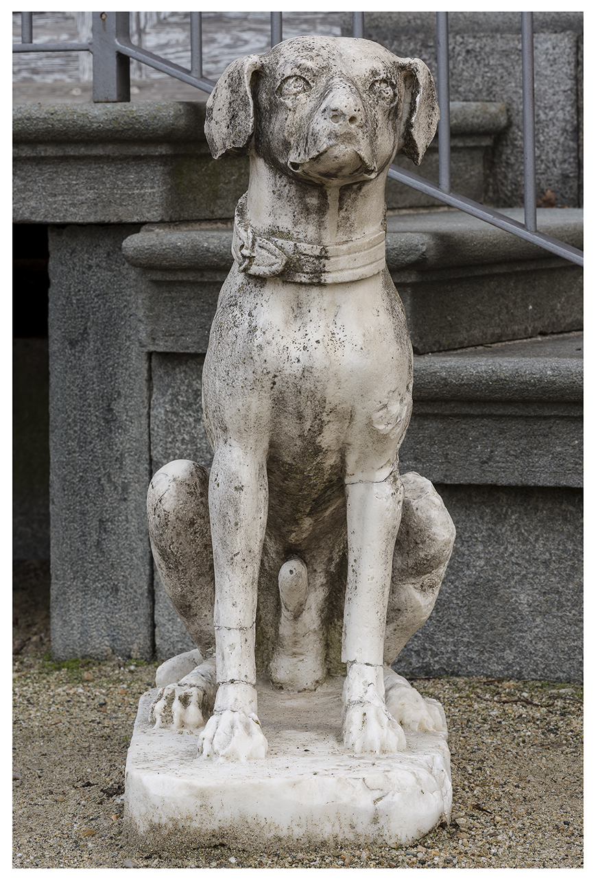 cane (scultura, opera isolata) - ambito piemontese (seconda metà XVIII)