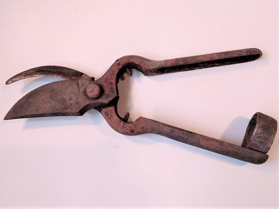 Cesoia, strumento agro-silvo-pastorale, STRUMENTI E ACCESSORI/ AGRO-SILVO-PASTORALI