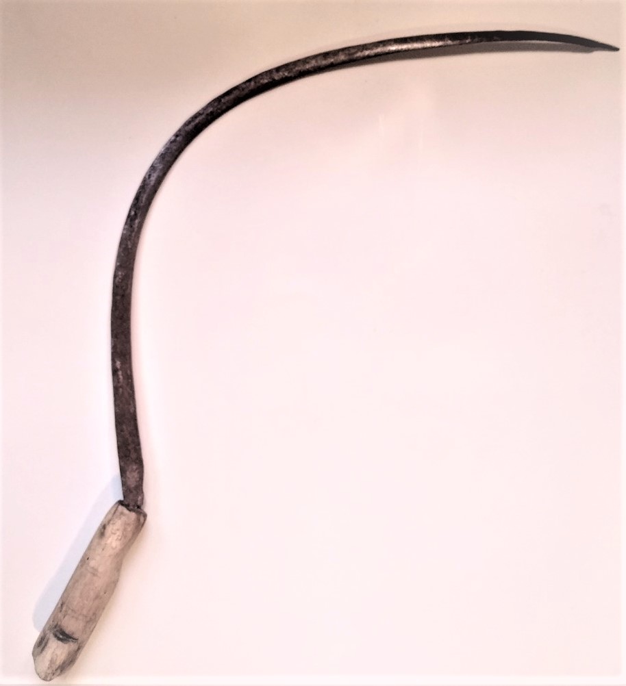 "fauci" (Falce, Strumento agro-silvo-pastorale, STRUMENTI E ACCESSORI/ AGRO-SILVO-PASTORALI)