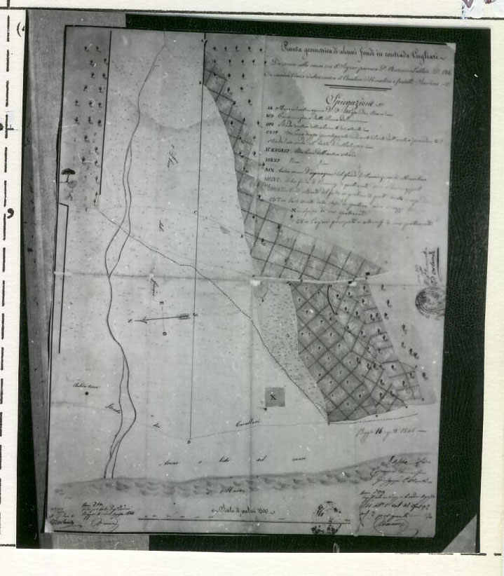planimetria (disegno tecnico) di Lofaro Filippo, Tommasini Carmine, Costantino Giuseppe (XIX)