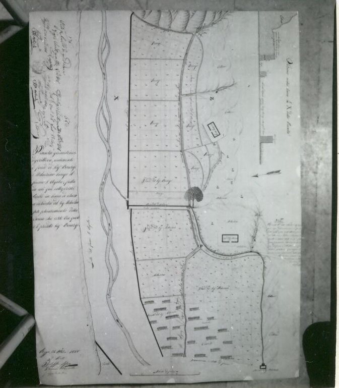 planimetria (disegno tecnico) di Lofaro Filippo, Morelli Giovanni, Costantino Giuseppe (XIX)