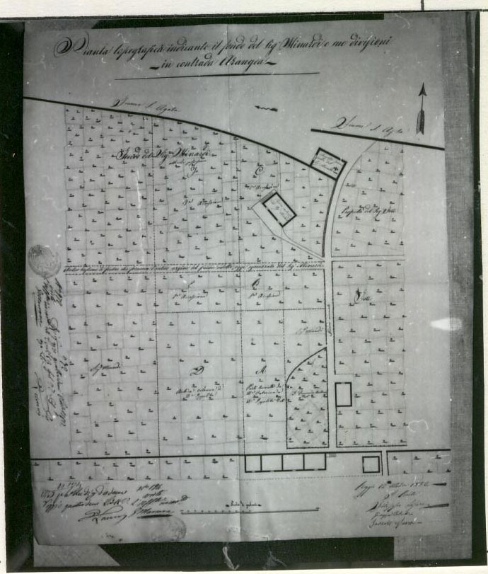 planimetria (disegno tecnico) di Lofaro Filippo, Costantino Giuseppe, Marra Francesco Saverio (XIX)