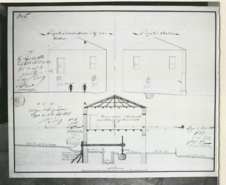 prospetto, sezione (disegno architettonico) di Rizzica Giuseppe, Lofaro Filippo, Costantino Giuseppe (XIX)