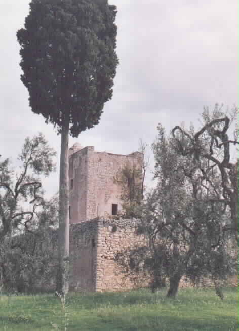 Torre del Mino (torre) - Molfetta (BA) 