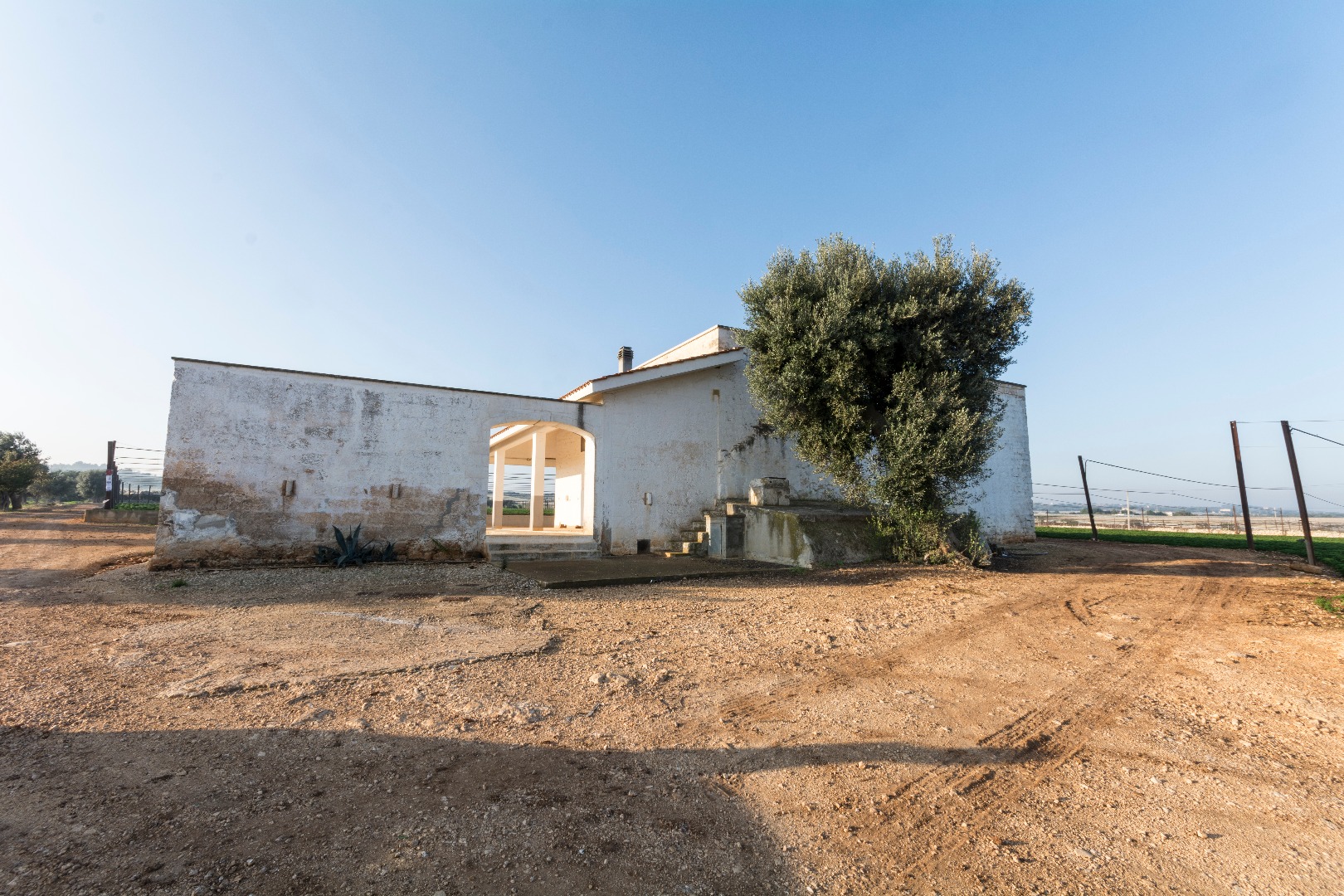 Masseria Vecchia (masseria, rurale) - Mola di Bari (BA) 