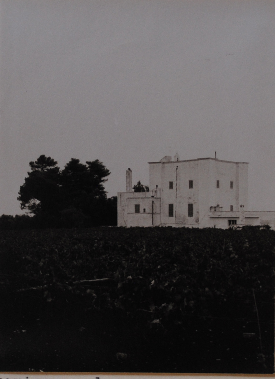 Villa Miani (villa) - Polignano a Mare (BA) 