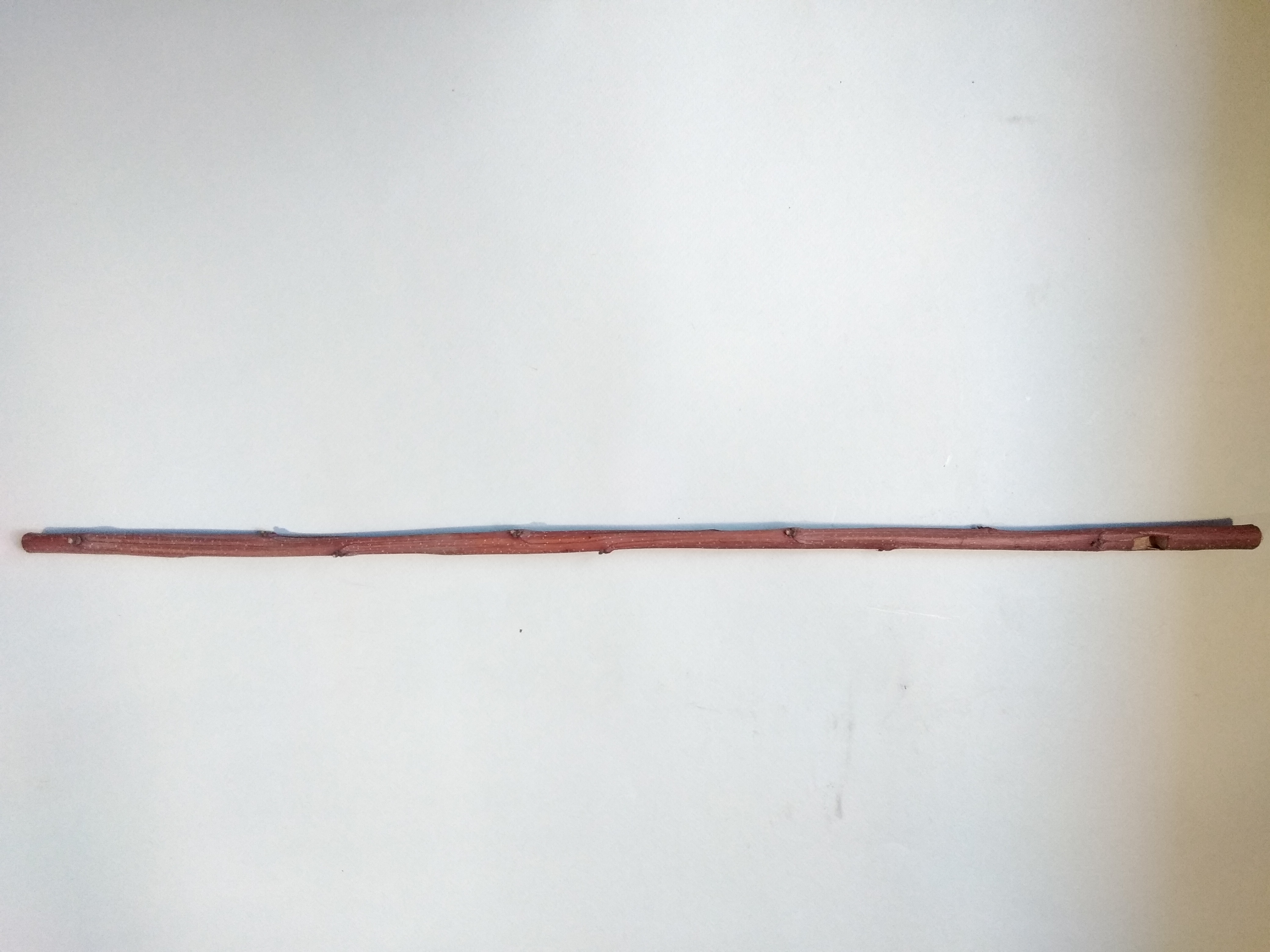 "o iscariello" (flauto traverso) (seconda metà sec XX)