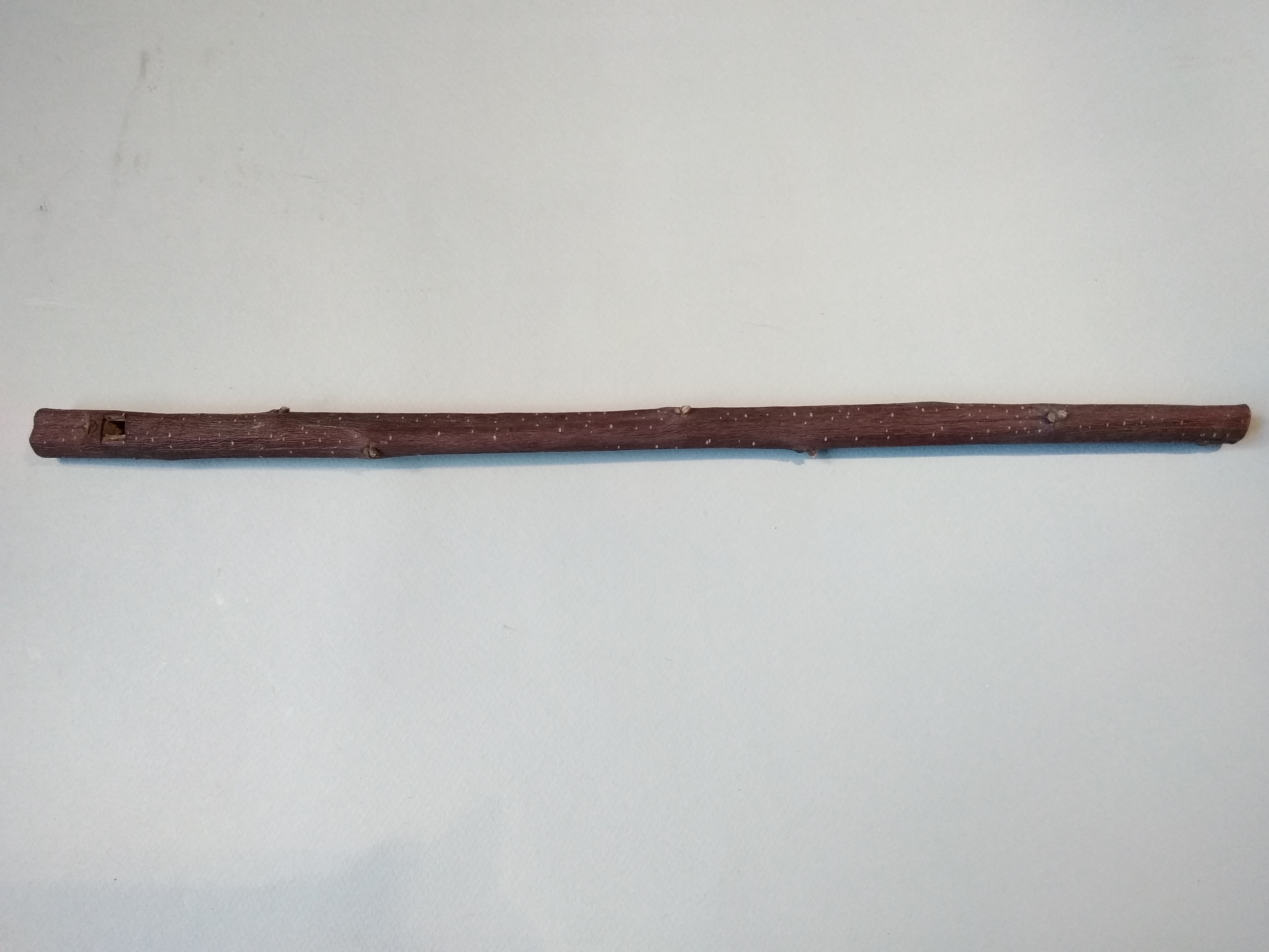 "o iscariello" (flauto diritto) (seconda metà sec XX)