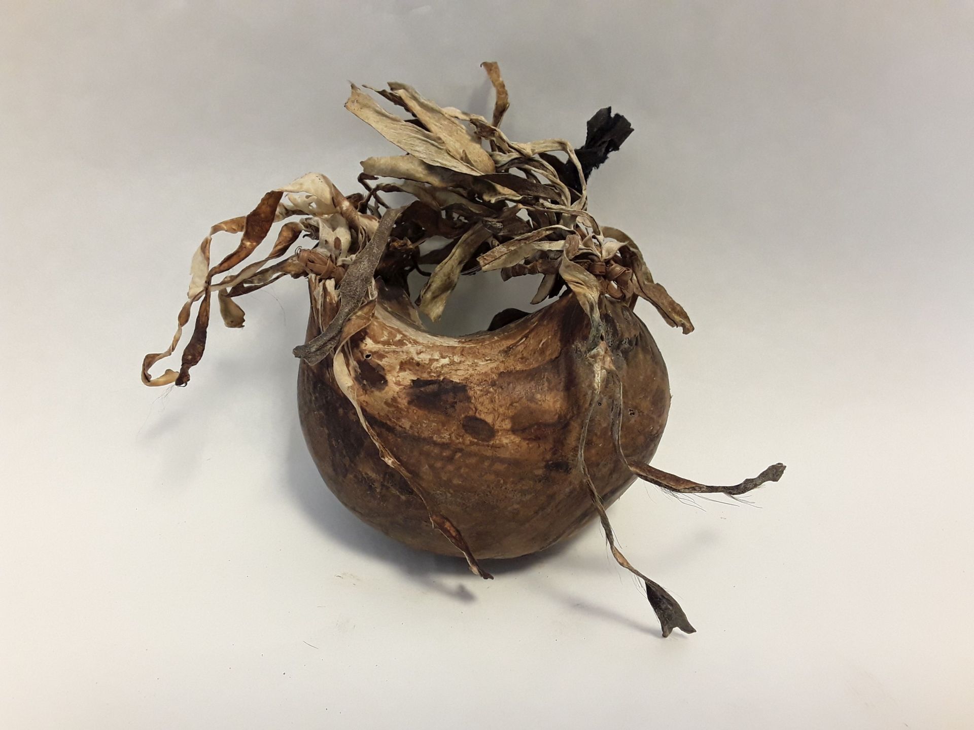 Akuba (Proteggi braccio, STRUMENTI E ACCESSORI/ CACCIA E PESCA) - produzione Pigmei