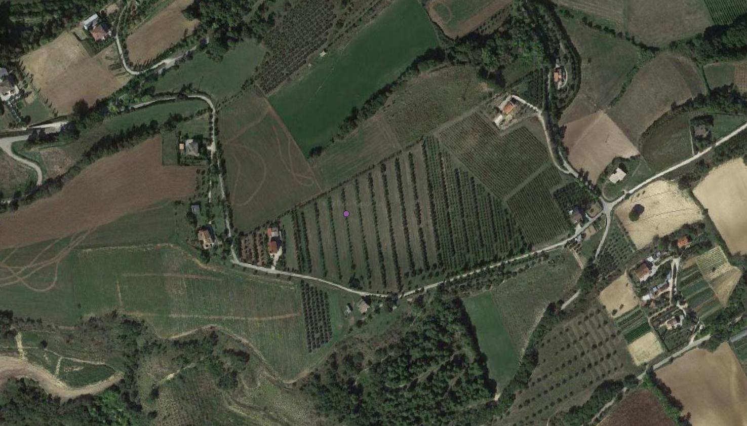 area di materiale mobile, industria litica - Campofilone (FM)  (PERIODIZZAZIONI/ Preistoria/ Paleolitico)