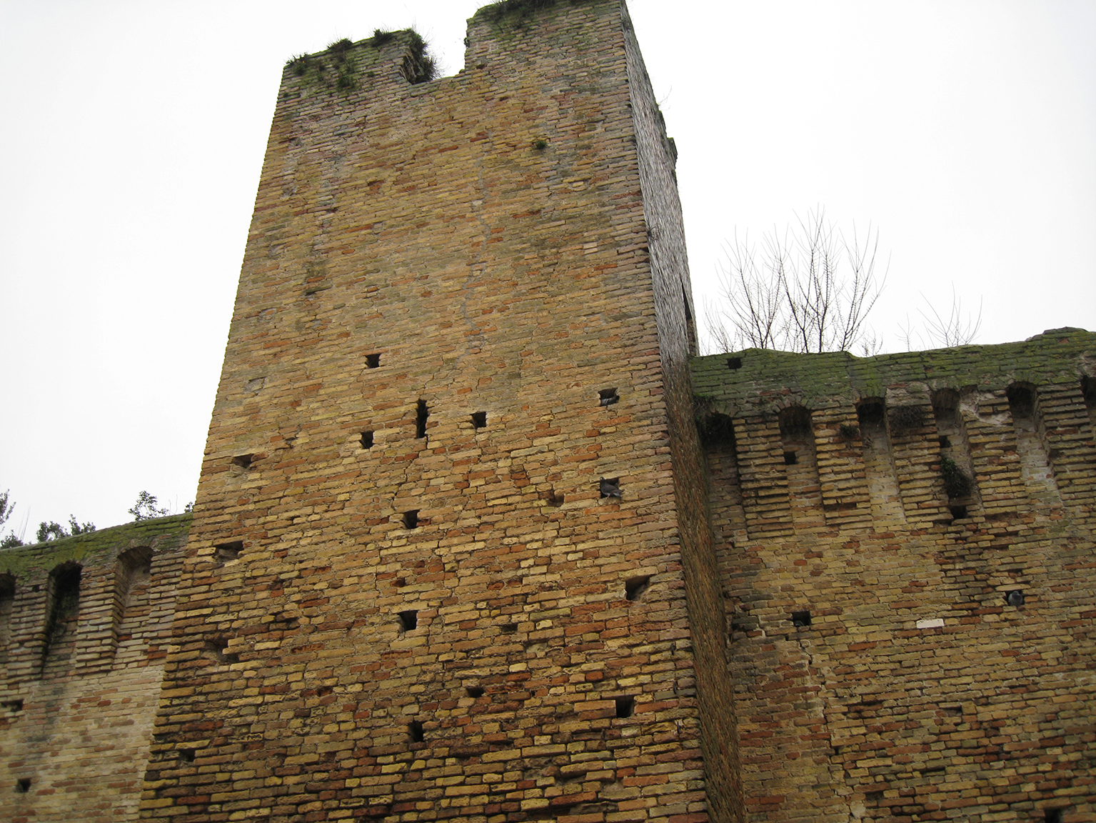 Mura di S. Carlo (mura, difensive) - Fermo (FM) 